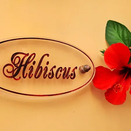 ホテル Rodos Niohori Elite Boutique